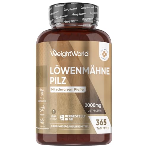 Löwenmähne (Hericium) Extrakt